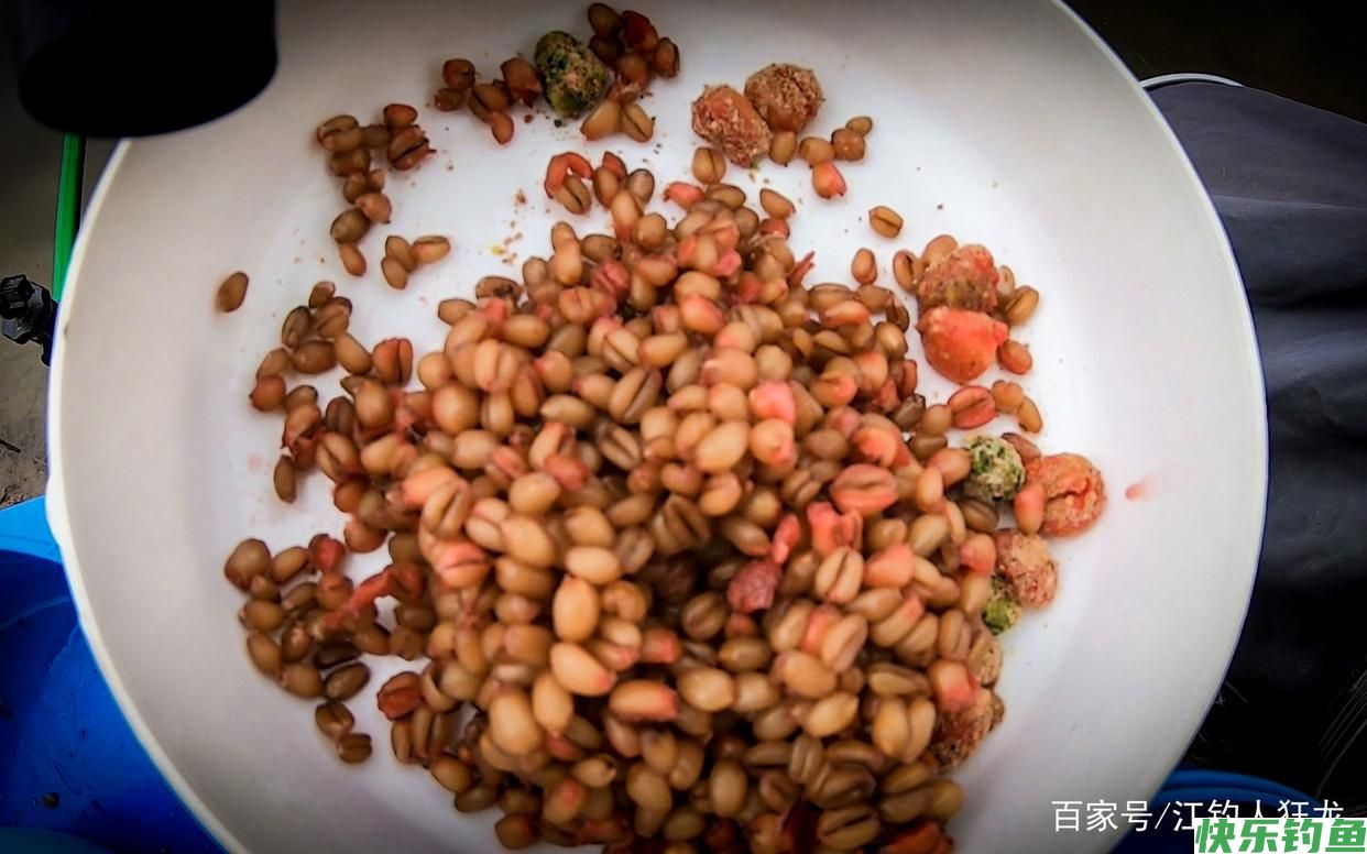 长江里钓鳊鱼，这6种都是常用饵，最后一种一般人接受不了(图4)