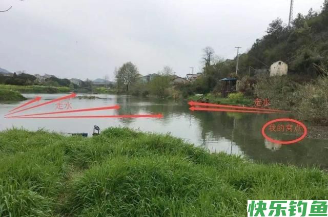 鳊鱼难钓？试试这五大招，招招有鱼来！新手学了马上爆护(图2)