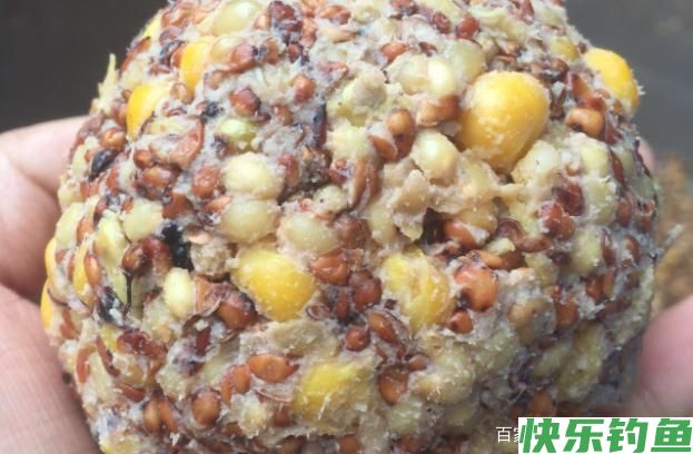 垂钓鳊鱼的小技巧，知道了这些，连杆上鱼不是问题(图3)