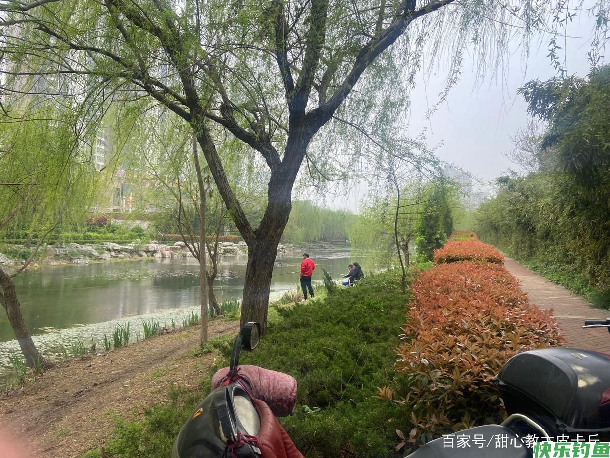 垂钓鳊鱼的小技巧，知道了这些，连杆上鱼不是问题(图4)