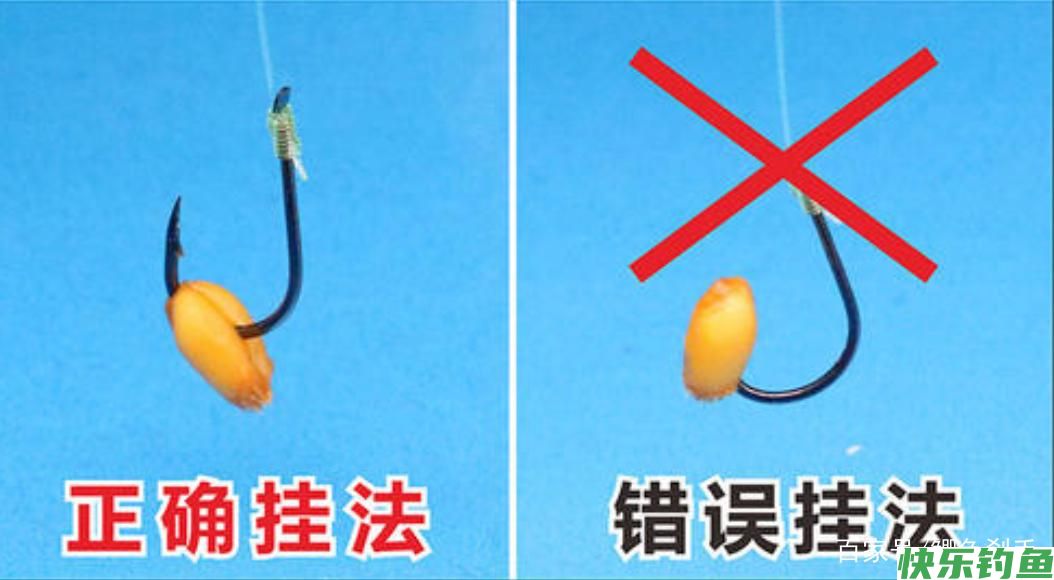 钓鳊“黑五月”？不是鳊鱼难钓获，而是你方法不对路！(图5)