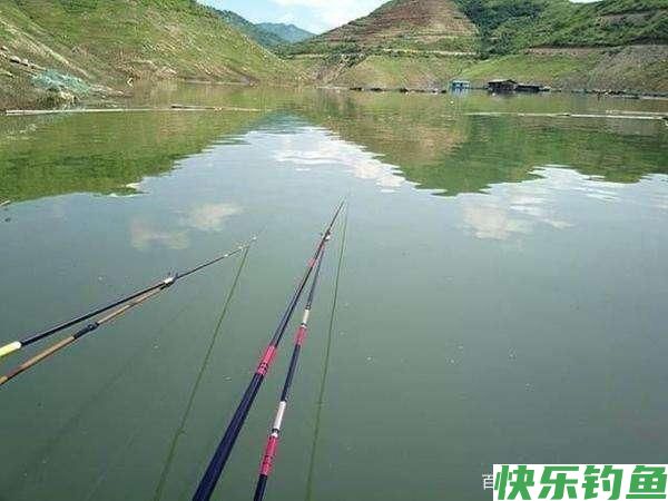 分析5个作钓技巧，让大水域野钓鳊鱼变简单(图3)