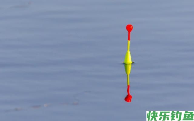 分享黄田水库实战垂钓鳊鱼经历！详细解析调三钓三垂钓鳊鱼的优点(图6)