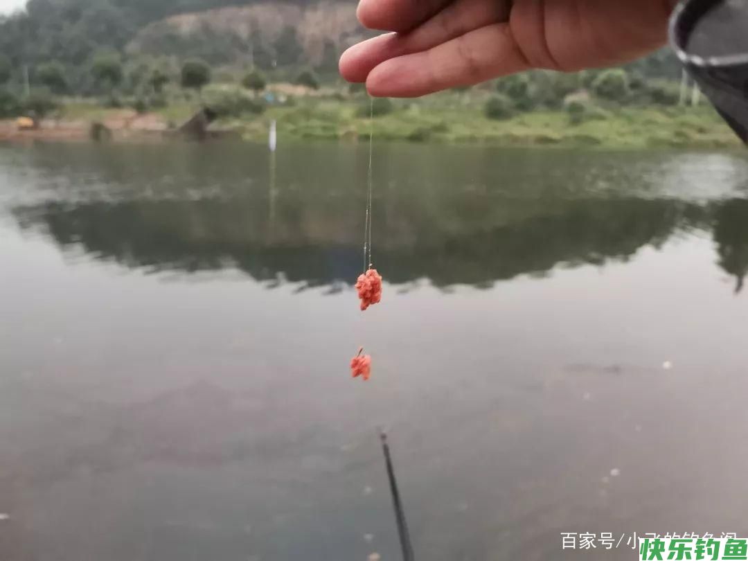 鳊鱼怎么钓更好？中秋过后采用这种钓法，鳊鱼大又肥(图4)