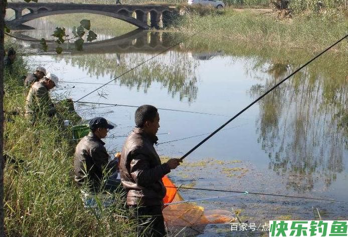 教你一些钓鳊鱼的技巧，不了解的进来看看吧，一起学习学习(图4)