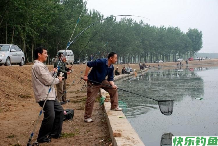 如何在夏季更好的钓到鳊鱼到爆护,看看这几个钓鱼技巧吧(图3) 如何在夏季更好的钓到鳊鱼到爆护,看看这几个钓鱼技巧吧(图3)