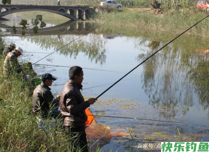 关于钓鳊鱼的技巧，不了解的可以进来看看，真的很实用！(图4)