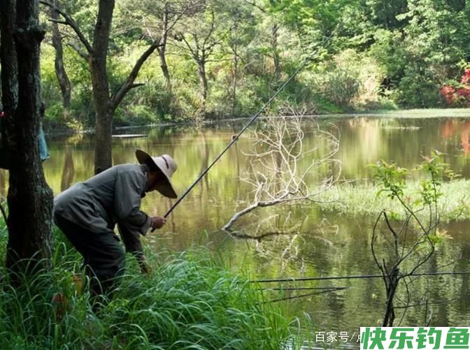 关于钓鳊鱼的技巧，不了解的可以进来看看，真的很实用！(图5)