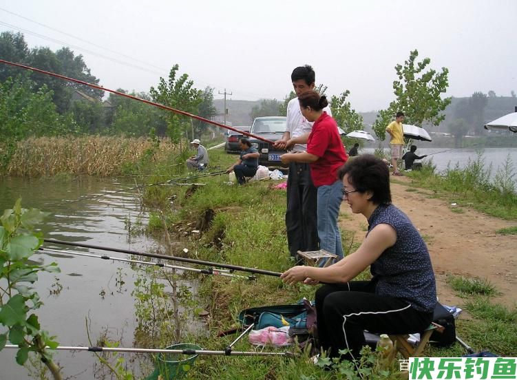 浅谈夏季垂钓鳊鱼的小技巧，了解掌握这些技巧，让你有好渔获！(图1)