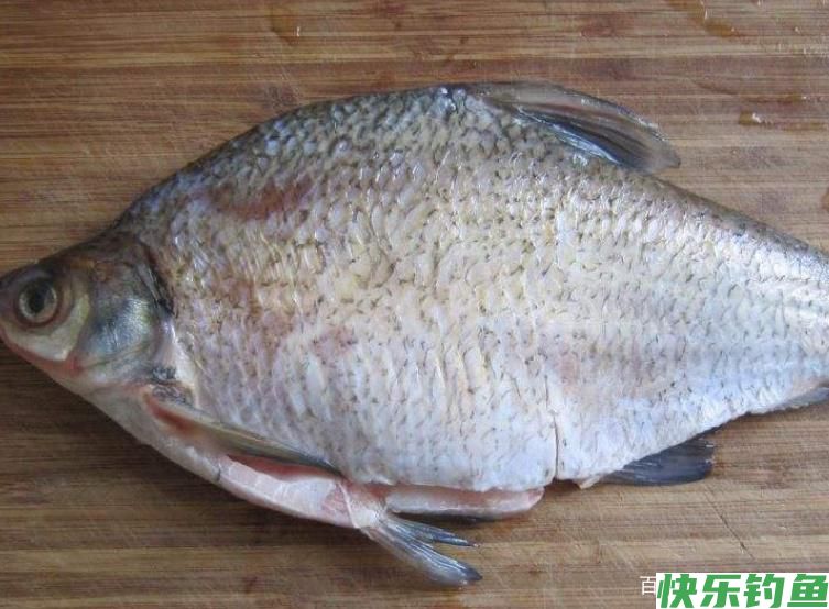 浅谈夏季垂钓鳊鱼的小技巧，了解掌握这些技巧，让你有好渔获！(图3)