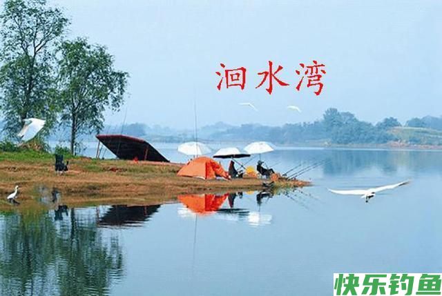 野钓大鳊鱼草鱼(窝料简单实用)(图1)