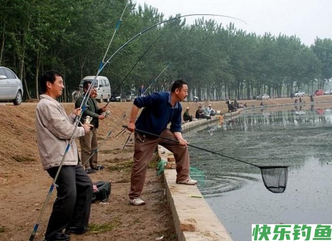 怎样垂钓鳊鱼？听听小编的介绍，绝对都是一些很实用的知识！(图3)