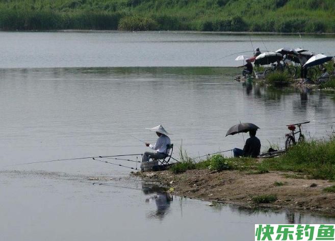 怎样垂钓鳊鱼？听听小编的介绍，绝对都是一些很实用的知识！(图5)