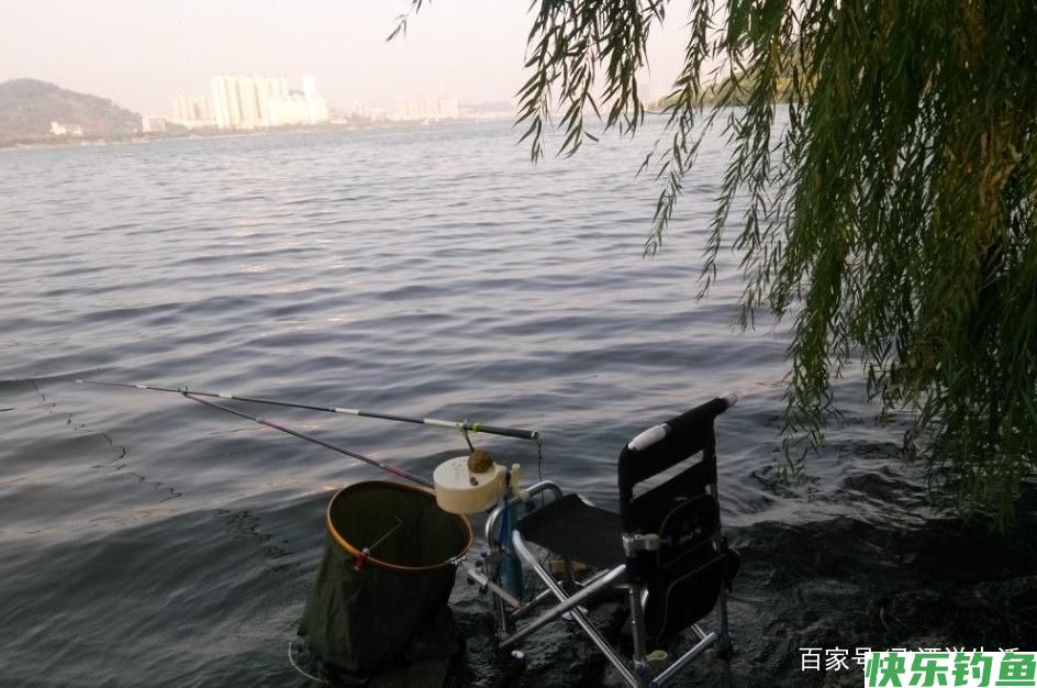 怎么样才能钓获鳊鱼，这几个小方法不能忽视，一定要多学习(图1)