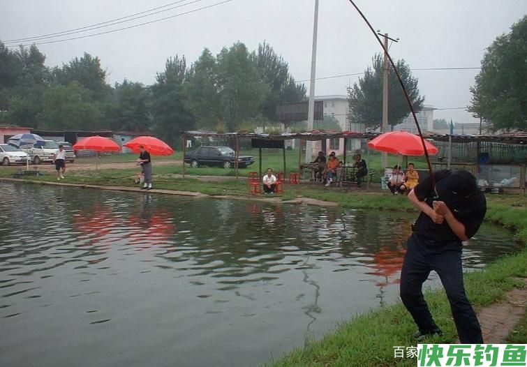 钓鳊鱼需要知道的一些小常识，跟我这样做，才会很轻松！(图4)
