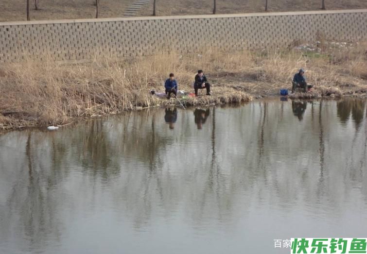 钓鳊鱼需要知道的一些小常识，跟我这样做，才会很轻松！(图3)