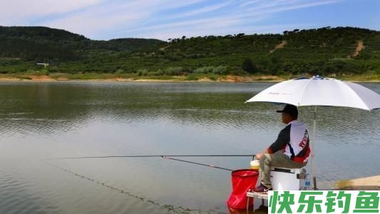 如何钓鳊鱼？怎样让鳊鱼快速上钩？有几种方法？(图6)