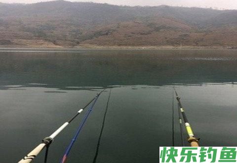 如何钓鳊鱼？怎样让鳊鱼快速上钩？有几种方法？(图4)