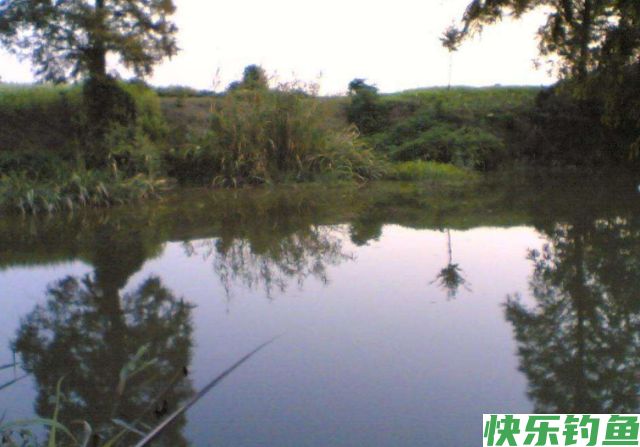 垂钓鳊鱼的经验和技巧，看看老钓友的分享，还怕没有渔获吗？(图2)