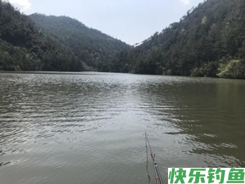夏季野钓做好这五点，水库总能上鳊鱼，解析夏季水库野钓鳊鱼技巧(图1)
