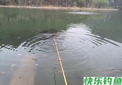 天一热鳊鱼最好钓，牢记这三点技巧，轻松爆护满载而归(图3)