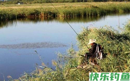 天一热鳊鱼最好钓，牢记这三点技巧，轻松爆护满载而归(图2)