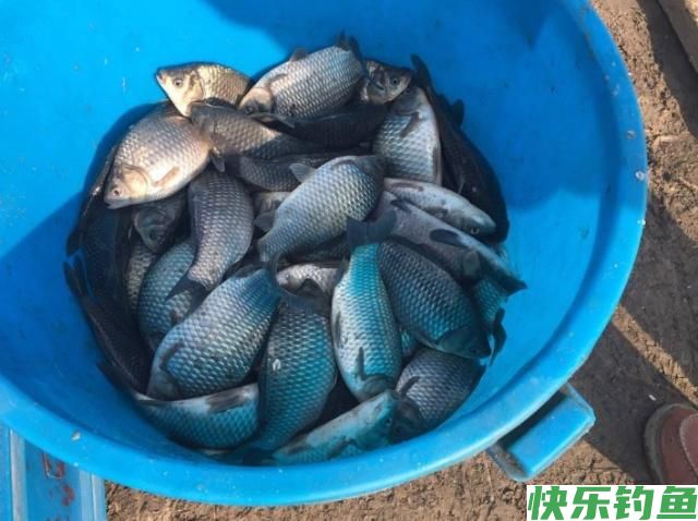垂钓鳊鱼时，老钓手的这些小经验，钓友们不妨多了解一下(图5)