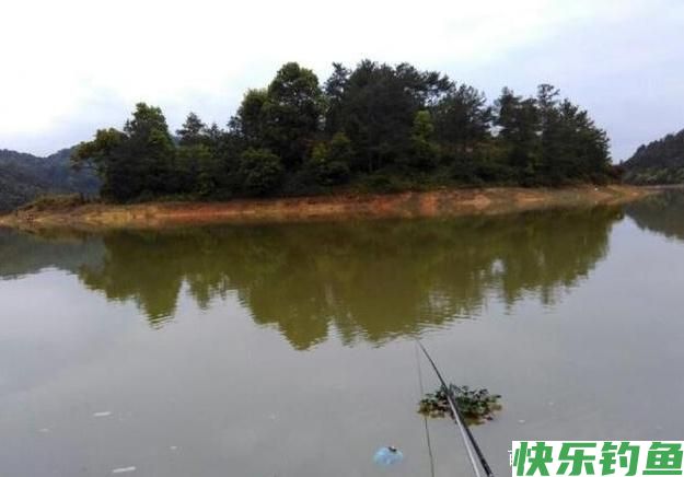 钓鳊鱼的小技巧，在钓位上有什么选择，小编我来告诉你！(图2)