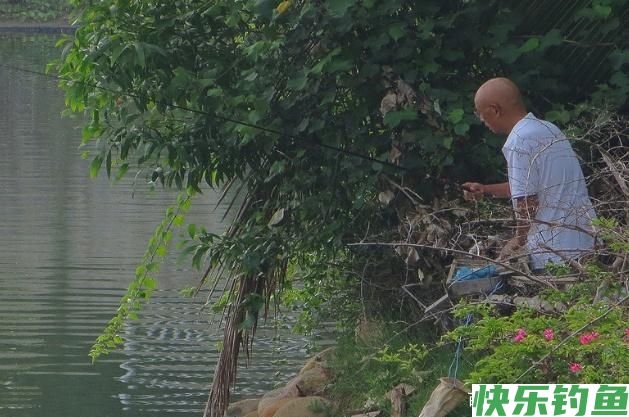 钓鳊鱼的小技巧，在钓位上有什么选择，小编我来告诉你！(图4)
