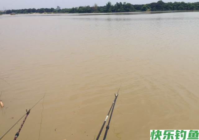新手钓鳊鱼时，想要满载而归，就看老钓友的垂钓技巧分享！(图2)