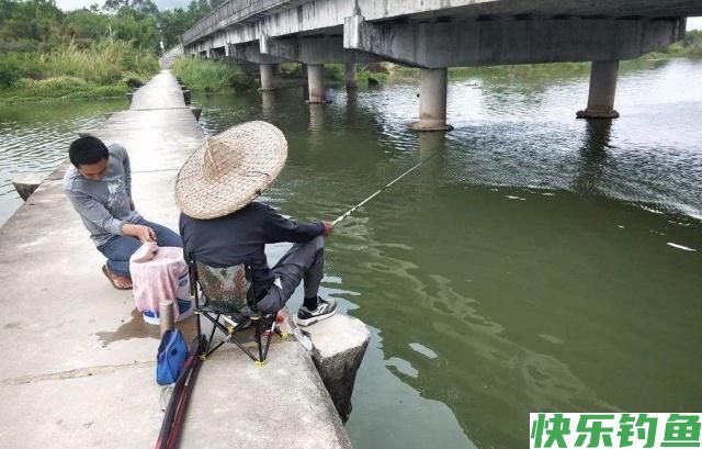 初夏时节钓鳊鱼，了解鳊鱼并掌握技巧，一定可以有所收获(图1)