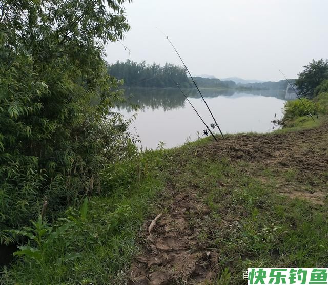 夏初钓鳊鱼的一些方法(图2)