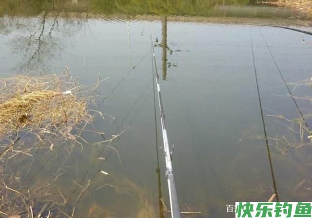 野外垂钓鳊鱼不用愁，学会这些小技巧，让你早日脱离小白的队伍(图4)