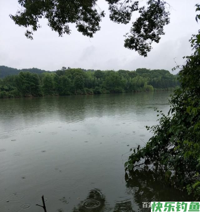 雨中江河钓鳊鱼的一些方法(图1)