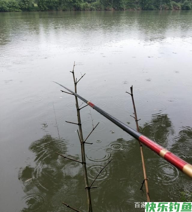 雨中江河钓鳊鱼的一些方法(图3)