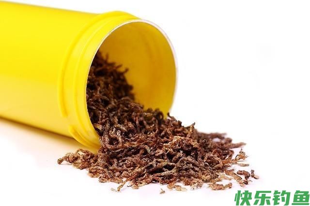 鳊鱼是我见过最好钓的鱼，一钓一箩筐！不要告诉我你还没钓过鳊鱼(图6)