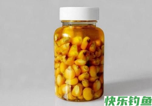 鳊鱼是我见过最好钓的鱼，一钓一箩筐！不要告诉我你还没钓过鳊鱼(图5)