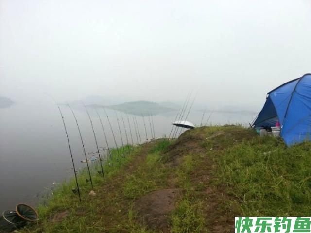 这里的鳊鱼特别好钓，钓上一条就会引来一群(图1)