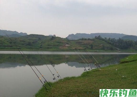 这里的鳊鱼特别好钓，钓上一条就会引来一群(图5)