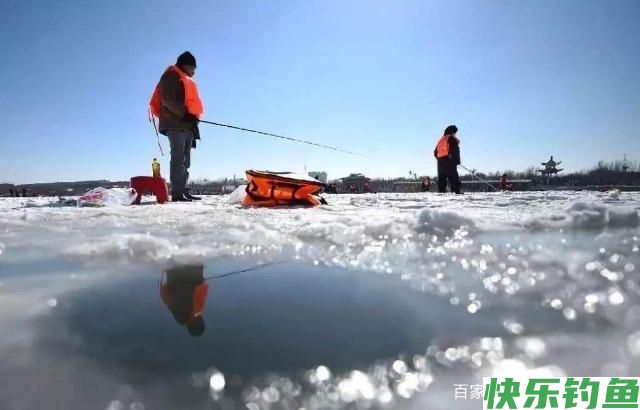冬钓是鳊鱼的好日子，把底子打牢固，我们会有更多的收获！(图6)