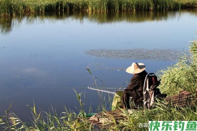 想要钓到鳊鱼，只要掌握垂钓技巧，可以轻松钓获(图4)