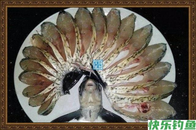 长江野钓武昌鱼，鱼味“孔雀开屏”做法，鲜美武昌鱼让人直流口水(图1)
