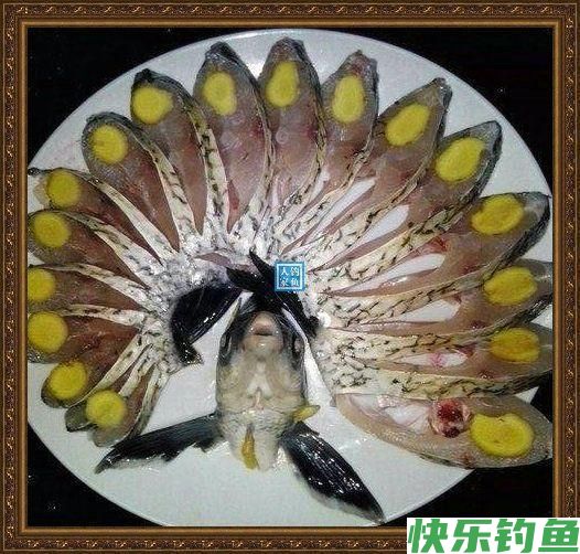 长江野钓武昌鱼，鱼味“孔雀开屏”做法，鲜美武昌鱼让人直流口水(图2)