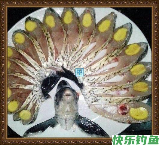 长江野钓武昌鱼，鱼味“孔雀开屏”做法，鲜美武昌鱼让人直流口水(图10)