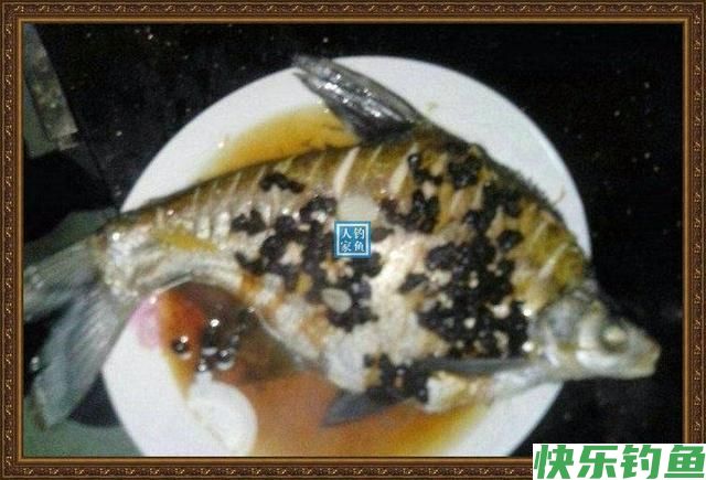 长江野钓武昌鱼，鱼味“孔雀开屏”做法，鲜美武昌鱼让人直流口水(图15)