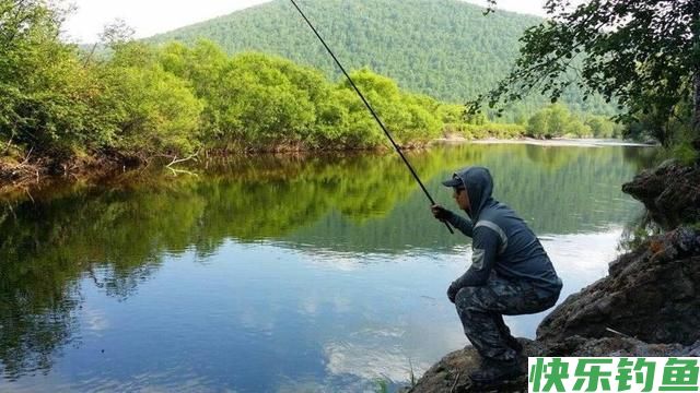 才饮长江水，又“钓”武昌鱼(图1)