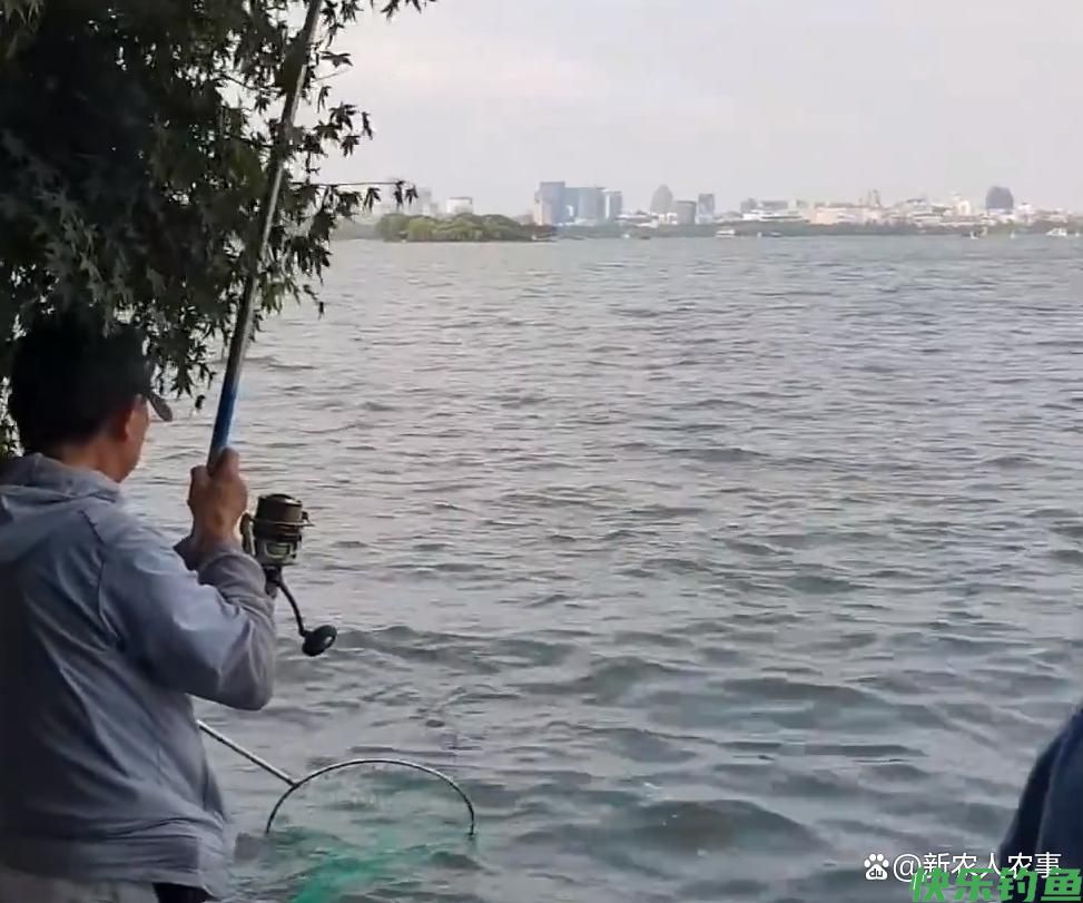 大爷在西湖苏堤钓获大青鱼，三人抬着匆匆离去，网友猜测没钓鱼证(图4)