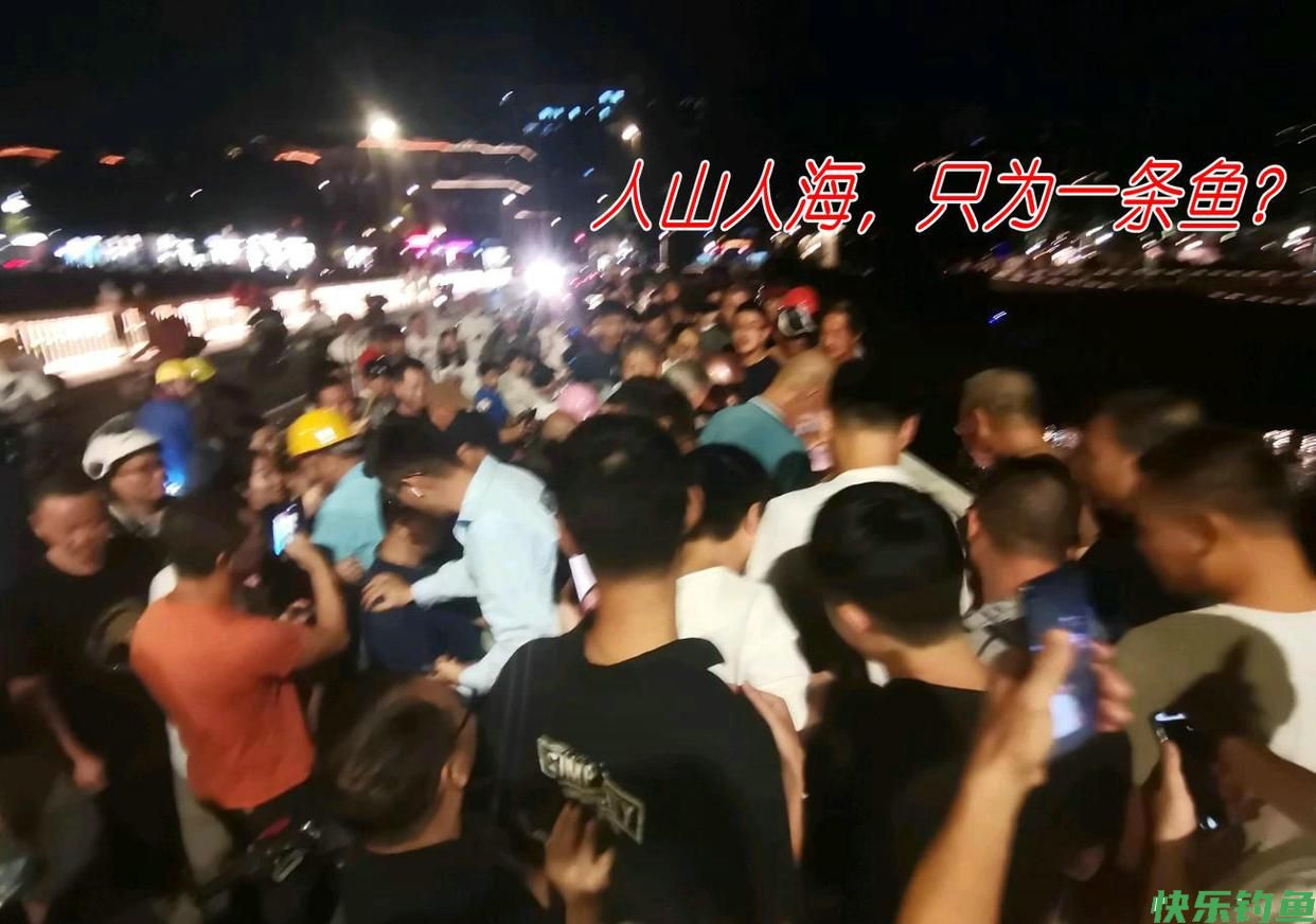 牌面！福州老伯钓鱼遭遇河道“青鱼王”，半条街的人都来看了(图1)