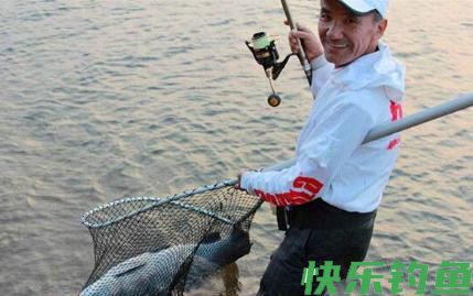 黑坑能钓青鱼吗，如何钓滑口青鱼(图2)