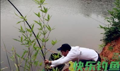 黑坑能钓青鱼吗，如何钓滑口青鱼(图3)